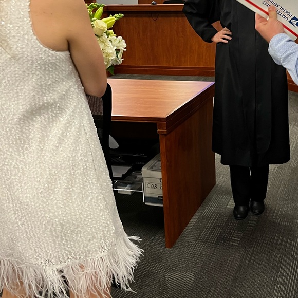 Aidan Mattox Sequined Feather Trimmed Shift Dress - Picture 2 of 3